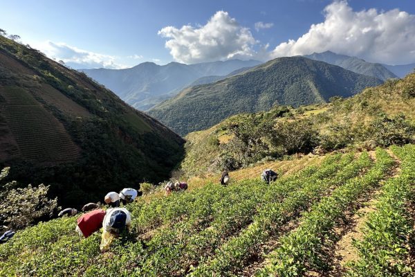 Cruz Loma, Bolivia, 2023.